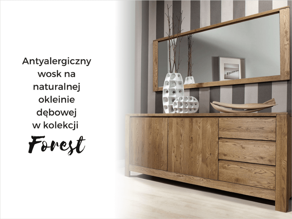 10 powodów przemawiających za dokonywaniem porządków i metamorfoz LATEM! KONKURS! Wygraj zwrot gotówki za meble, www.twojemeble.pl kolekcja forest